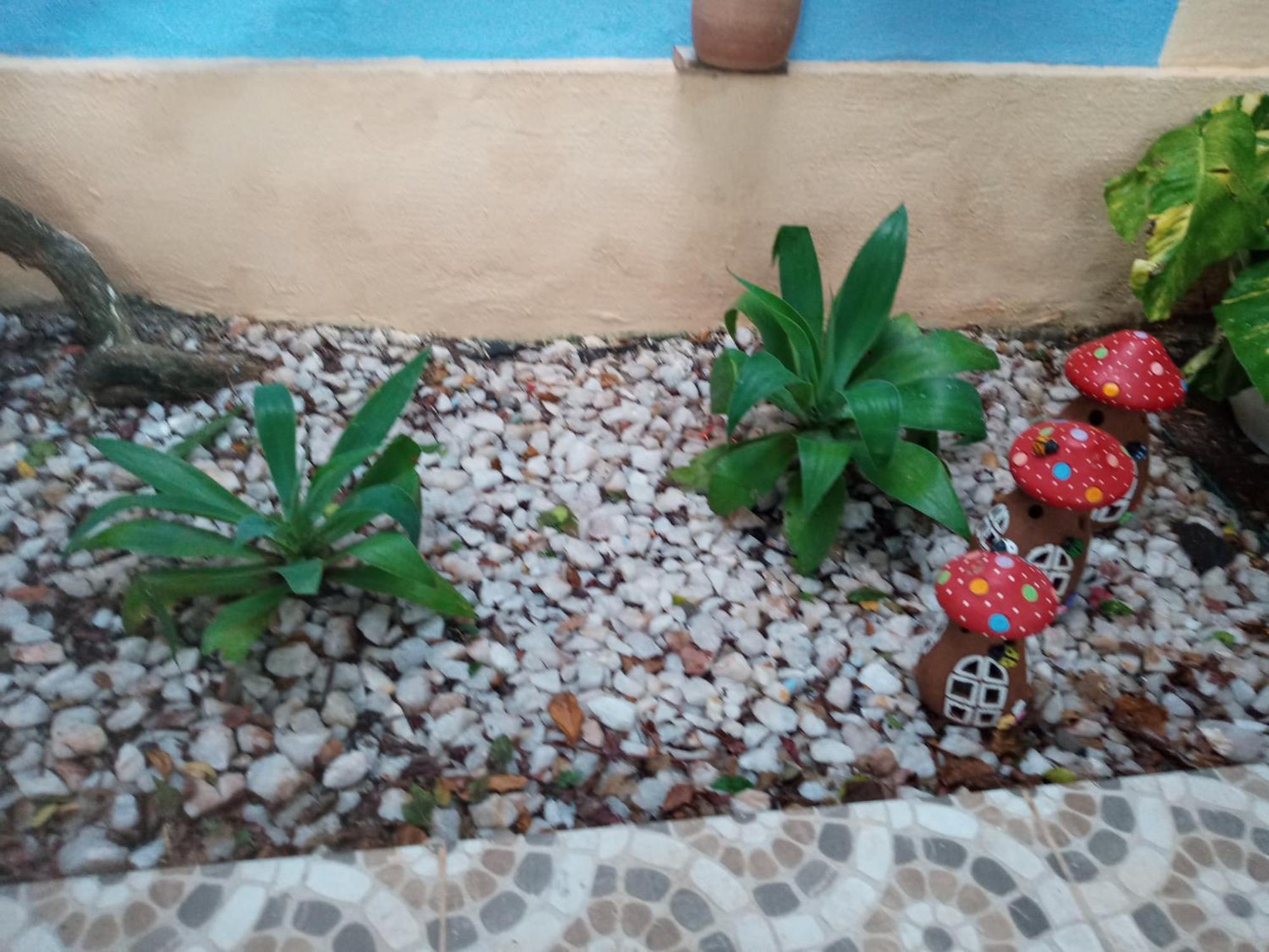 Zen Villas - Chales, Bem-Estar E Conexao Com A Natureza Lauro de Freitas Luaran gambar