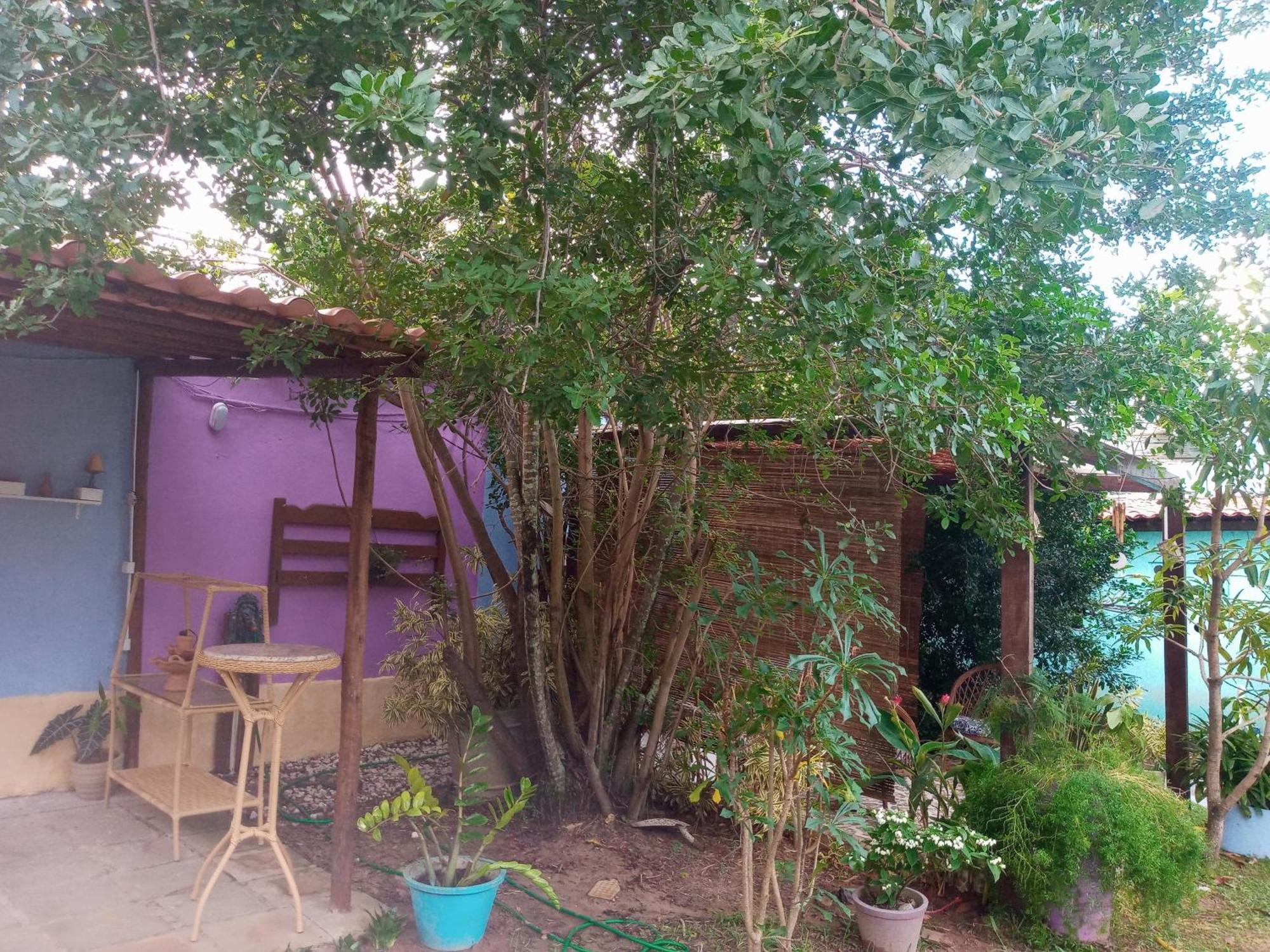 Zen Villas - Chales, Bem-Estar E Conexao Com A Natureza Lauro de Freitas Luaran gambar