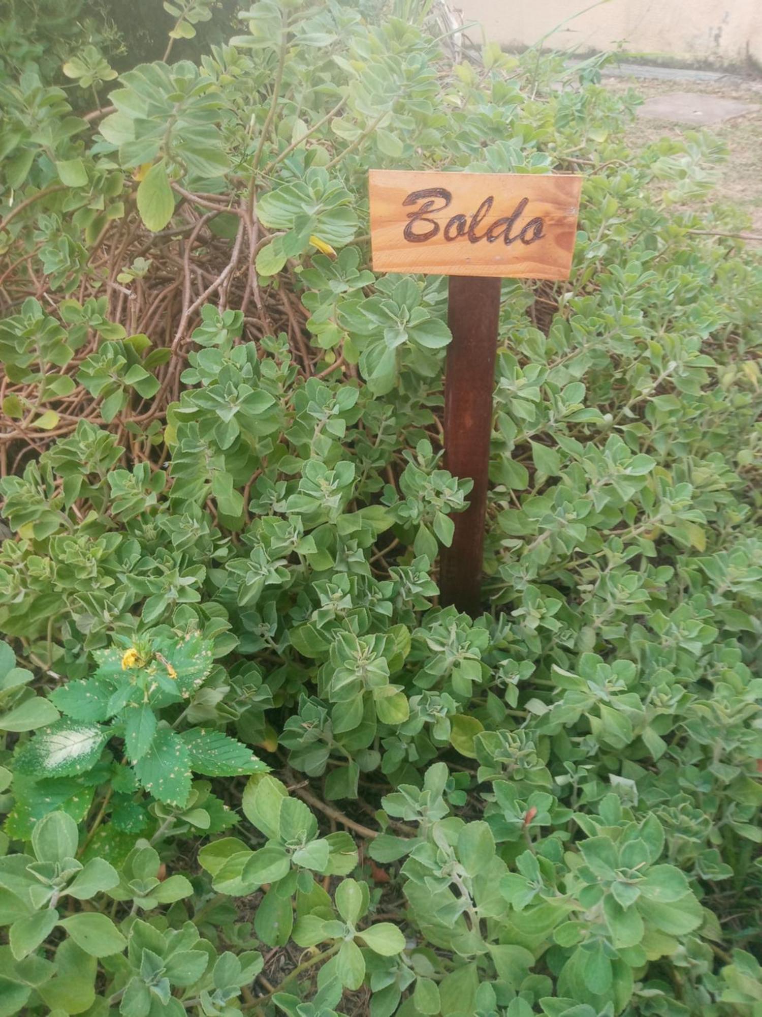 Zen Villas - Chales, Bem-Estar E Conexao Com A Natureza Lauro de Freitas Luaran gambar